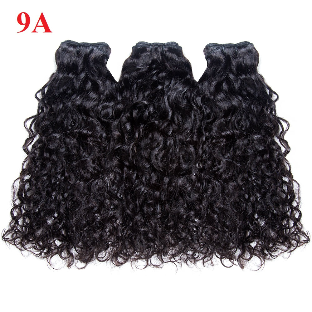 XBL Hair Water Wave Bundles with 4x4 Lace Closure Indian Human Hair Free Part